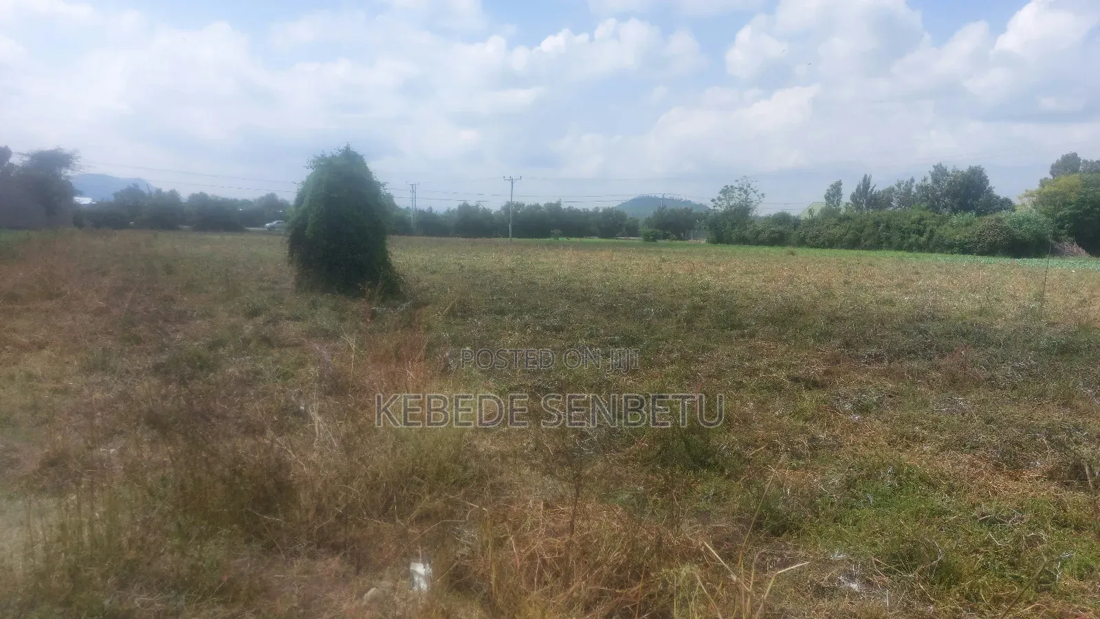 Farmland for Rent