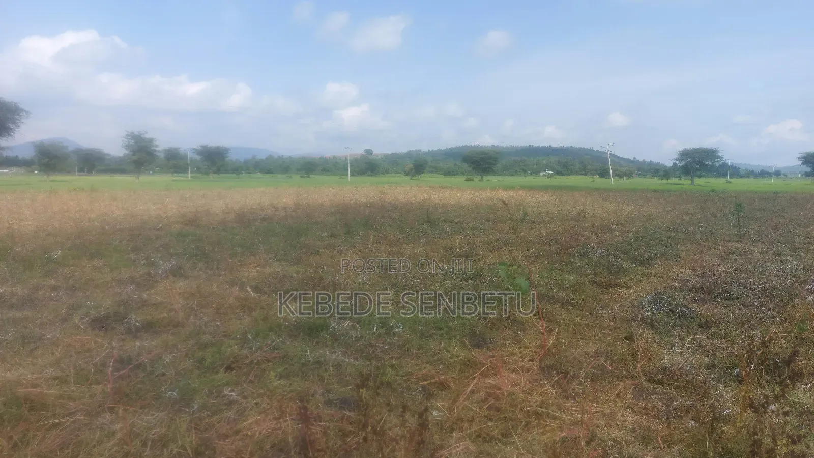 Farmland for Rent