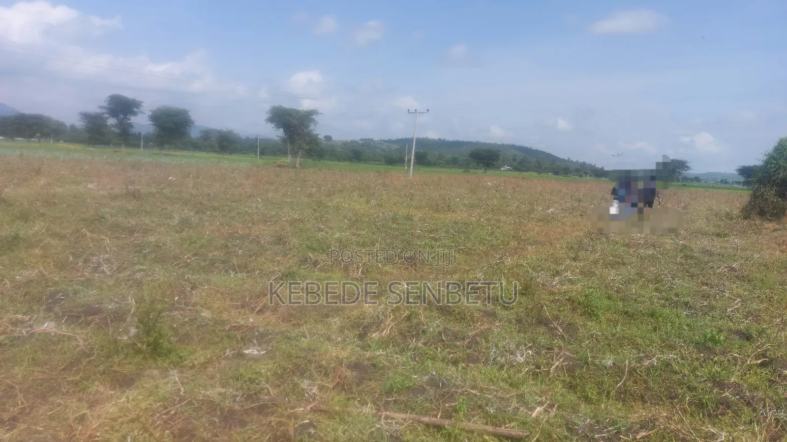 Farmland for Rent