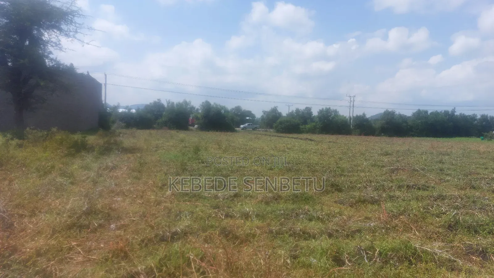 Farmland for Rent