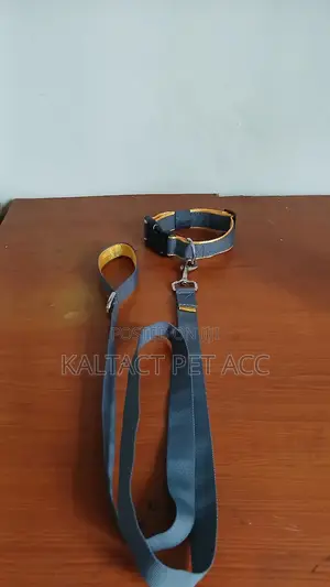 Dog Leash and Collar/ያንገት እና መጎተቻው