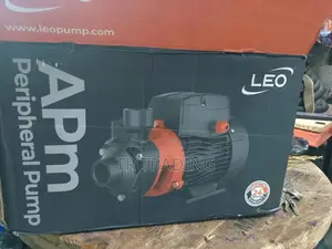 Leo Water Pump 1.1 Kw,220 Volt