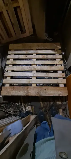 Wood Pallet