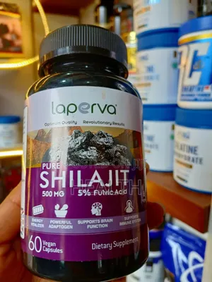 Shilajit for Brain Function