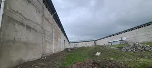 ቱለፋ መጋዘን የሚሸጥ