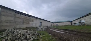 የሚከራይ መጋዘን ቱለፋ