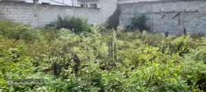 5bdrm Farm House in Roseta Real State, Oromia-Finfinne for rent