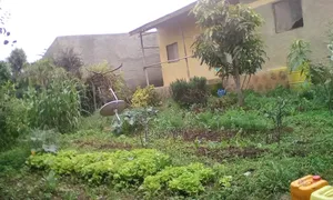 3bdrm House in Oromia-Finfinne for sale