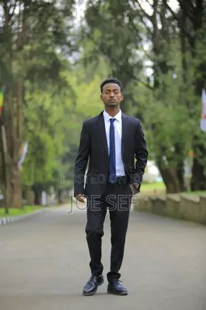 Accountant