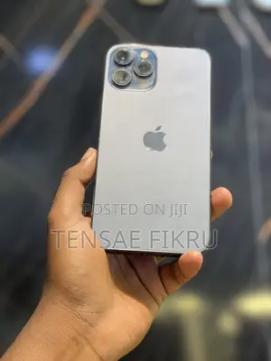 Apple iPhone 12 Pro Max 256 GB Blue
