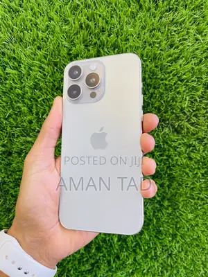 Apple iPhone 15 Pro Max 256 GB Silver