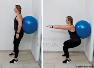 Physioball