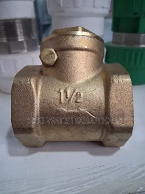 Cheek Valve