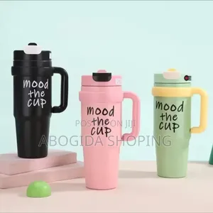 Double Layer Stainless Still Isolated Tumblers With Straw (Travel Cup)