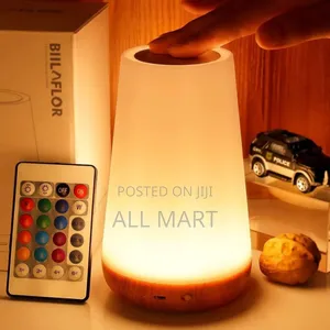 Majic Touch Light Bedside Lamp