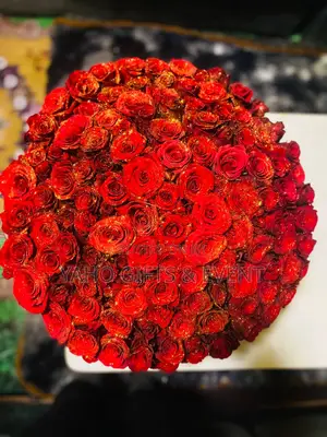 Shimglna Flower የሽምግልና አበባ