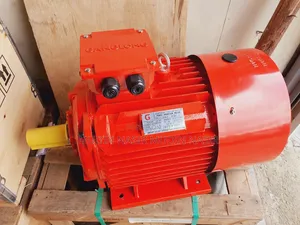 Elctircal Motor