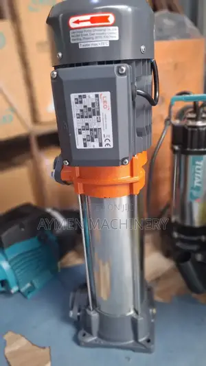 Leo Vertical Multistage 2.5hp Pump ሊዮ ላቪያጆ ፓምፕ