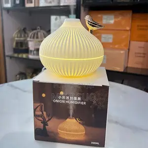 ለቤት መልካም መዓዛን የሚሰጥ Onion Shape Humidifier