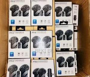 F11-2 Dual Microphone