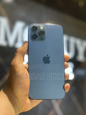 Apple iPhone 12 Pro Max 256 GB Blue