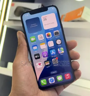 New Apple iPhone 12 Pro Max 256 GB