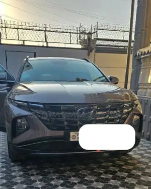 Hyundai Tucson 2022 Pink