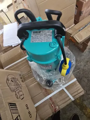 Summer Pump 1 Hp