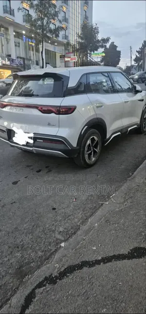 የሚከራዩ Yuan Up Plus መኪኖች አሉን. ይደውሉልን!