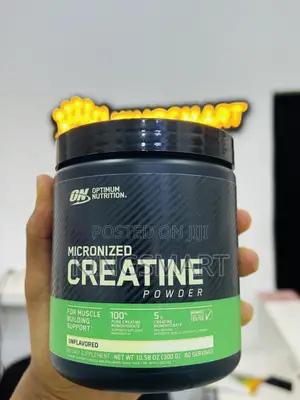 Optimum Nutrition Creatine Monohydrate (Micronized Creatine)