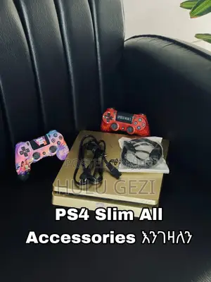 Ps4 Slim All Accessories