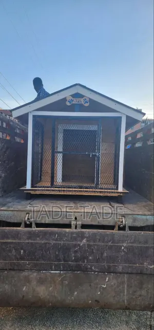 Best Dog House Homes