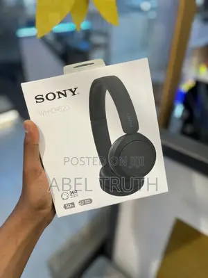 Sony Wh - Ch520