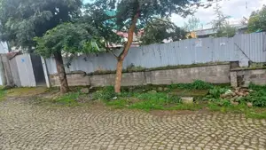 አያት ዞን ኮምፋውንድ ውስጥ የሚሸጥ 500 ካሬ ቦታ