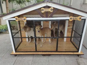 Very Smart Home Dog