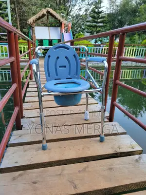 Bedside Commode Chair鄰*Toilet Chair₤∫∫Wheelchair㫻。Commode Shower Chair