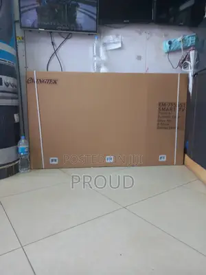 Eminigtek 75 Inch Tv