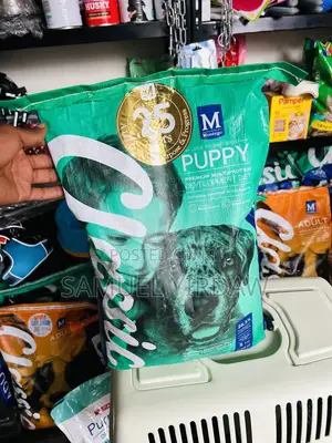 Premium Dry Food