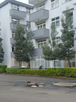 2bdrm Apartment in Apartment, Yeka for rent