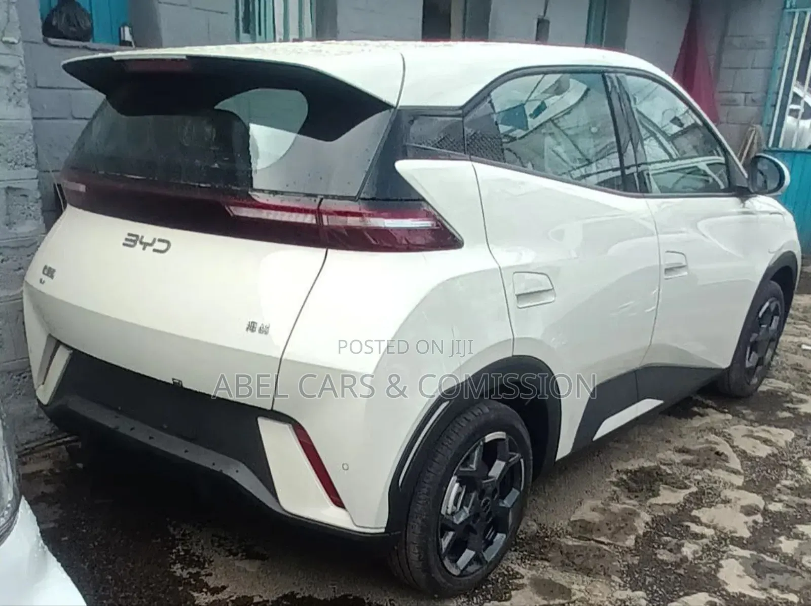 Byd Seagul for Rent