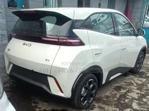 Byd Seagul for Rent