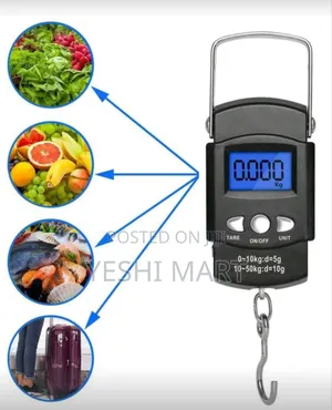 High Precision Express Scale Small Scale Spring Type Portable