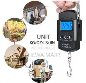 High Precision Express Scale Small Scale Spring Type Portable Hanging
