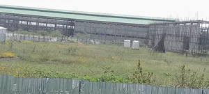 አስቸካይ የሚሸጥ ባታ