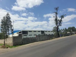 አስቸካይ የሚሸጥ መጋዘን