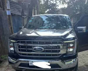 Ford F-150 2022 Gray