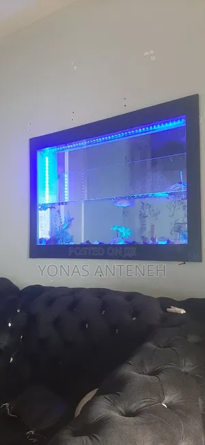 Aquarium Decoration