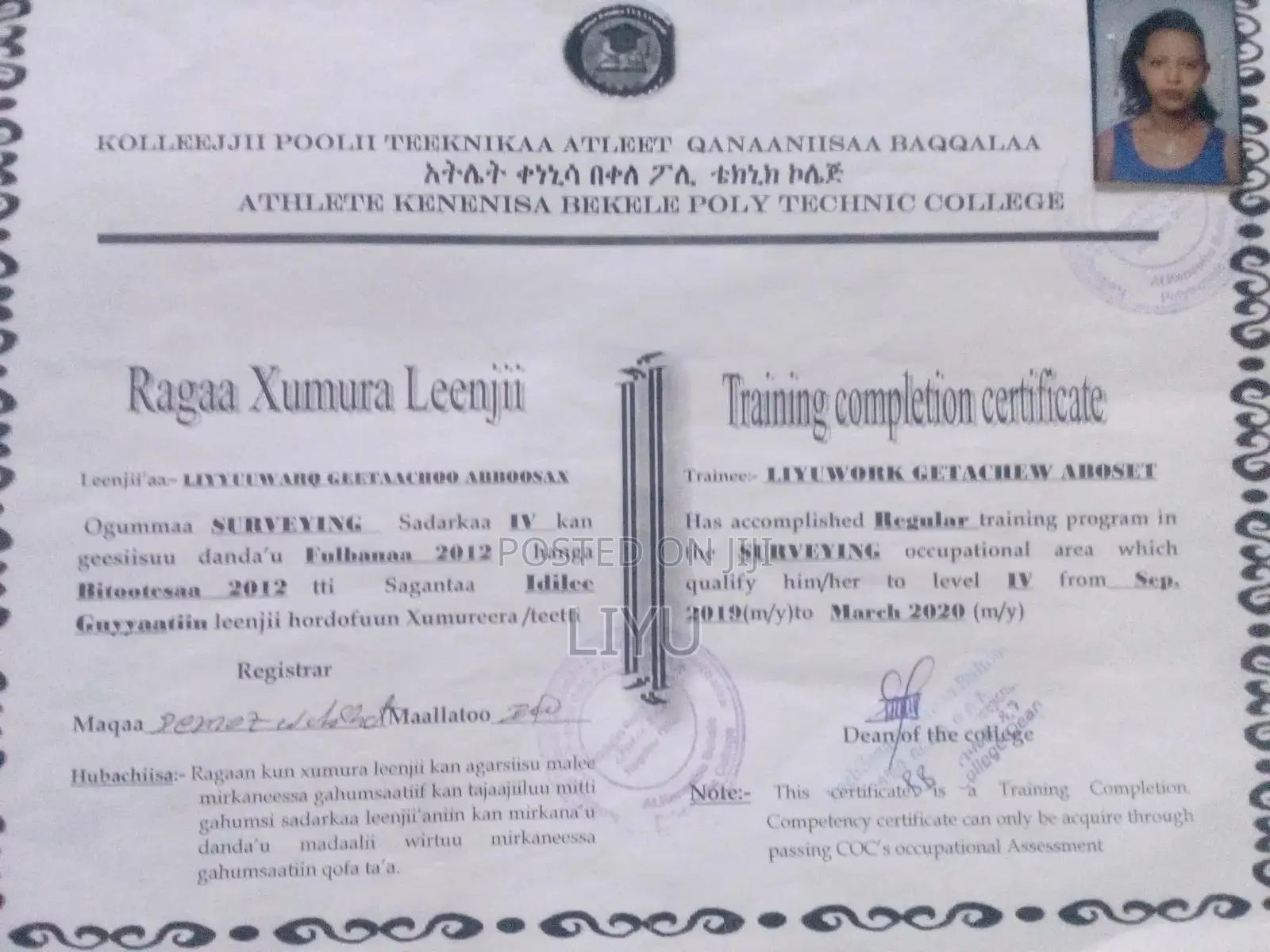 Serveying Engineer