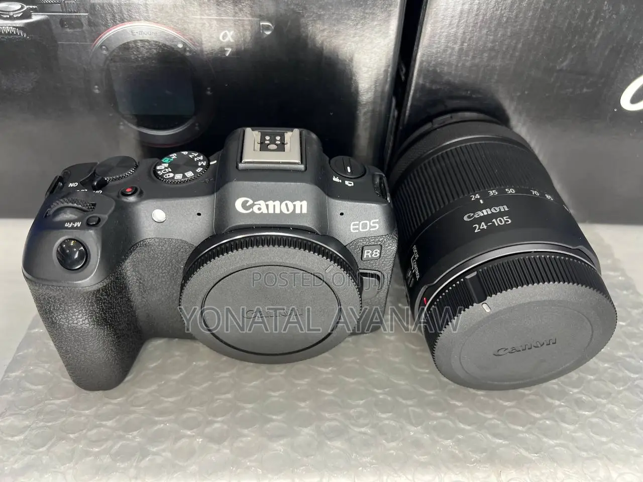Canon R8 With 24-105mm