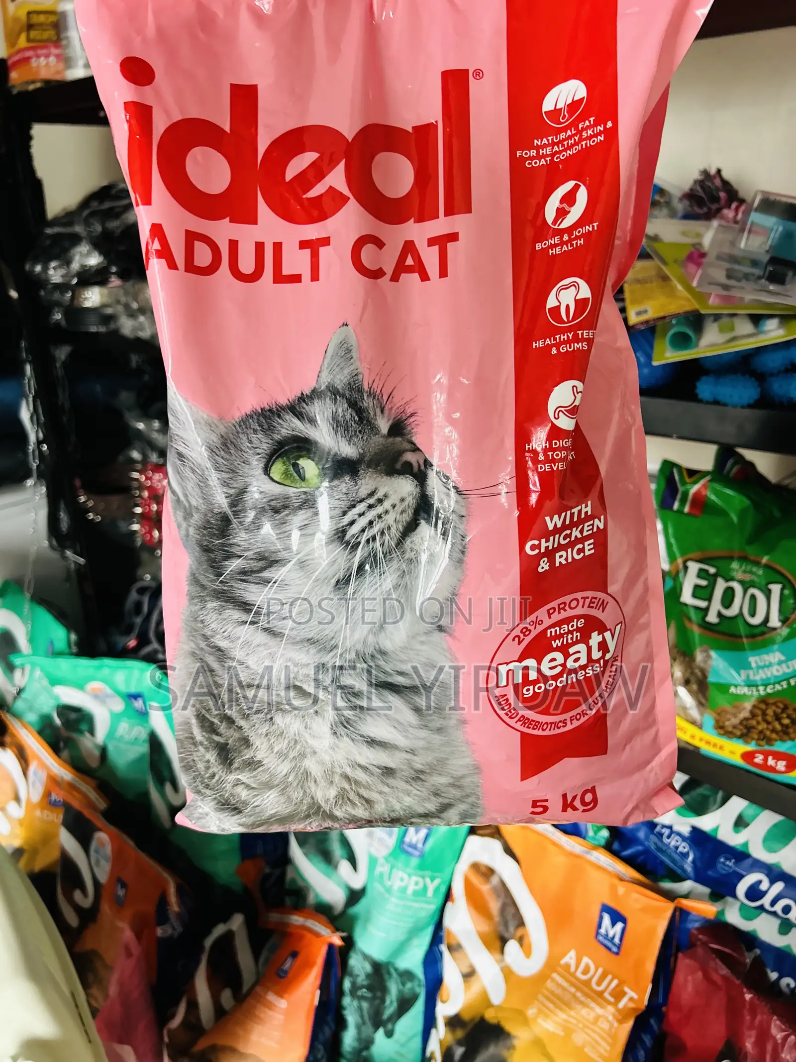 Dry Food for Cats